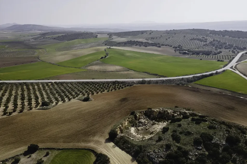 Luftaufnahme landwirtschaftlicher Flächen mit Feldern und Olivenhainen für präzise Geolokalisierung